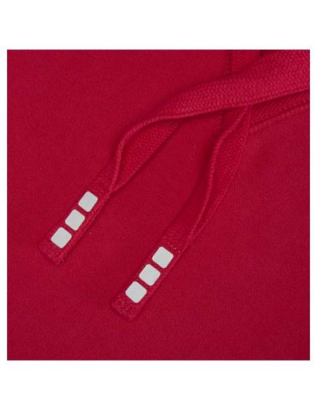 Sudadera con capucha unisex de 300 g/m² Arora N11253283