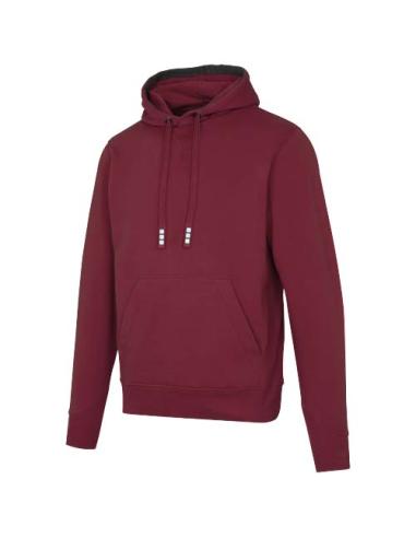 Sudadera con capucha unisex de 300 g/m² Arora N02253283