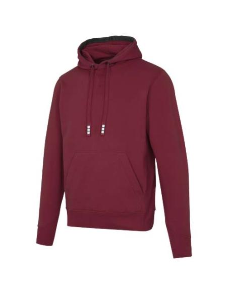 Sudadera con capucha unisex de 300 g/m² Arora N02253283