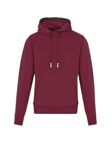 Sudadera con capucha unisex de 300 g/m² Arora N02253283