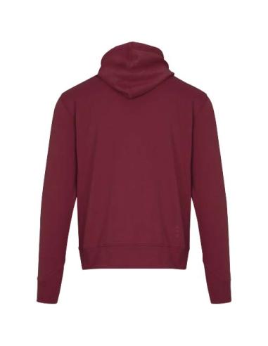 Sudadera con capucha unisex de 300 g/m² Arora N02253283