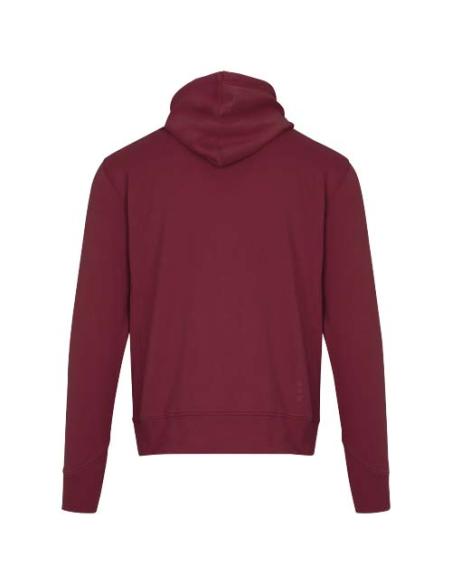 Sudadera con capucha unisex de 300 g/m² Arora N02253283