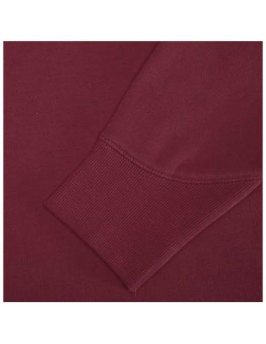 Sudadera con capucha unisex de 300 g/m² Arora N02253283