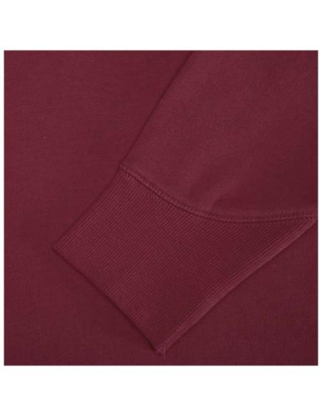 Sudadera con capucha unisex de 300 g/m² Arora N02253283