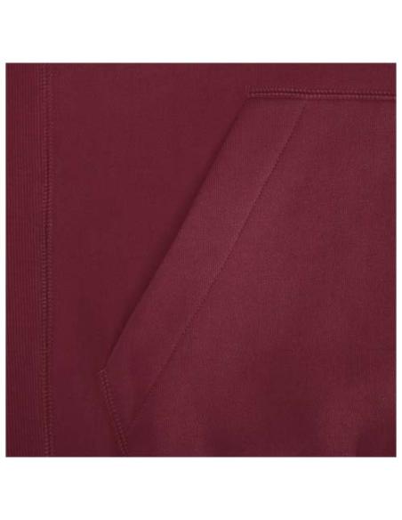 Sudadera con capucha unisex de 300 g/m² Arora N02253283