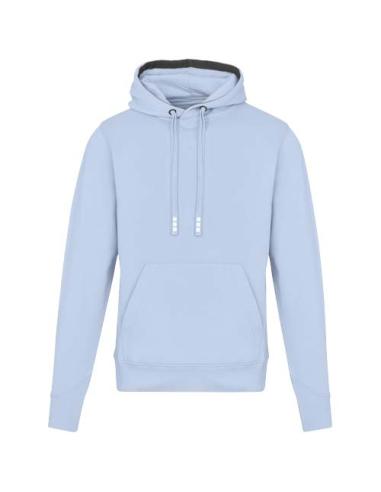 Sudadera con capucha unisex de 300 g/m² Arora N00553283