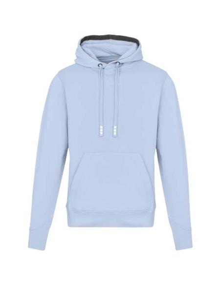Sudadera con capucha unisex de 300 g/m² Arora N00553283