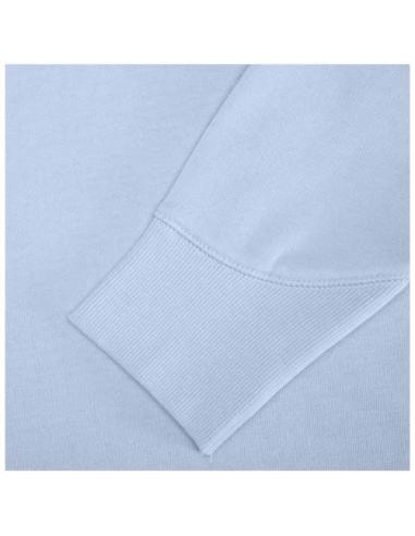 Sudadera con capucha unisex de 300 g/m² Arora N00553283