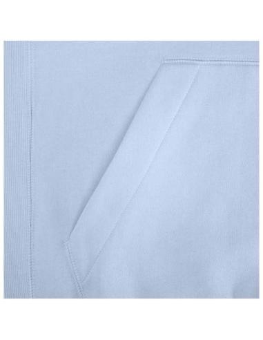Sudadera con capucha unisex de 300 g/m² Arora N00553283