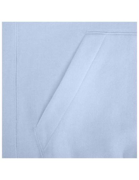 Sudadera con capucha unisex de 300 g/m² Arora N00553283