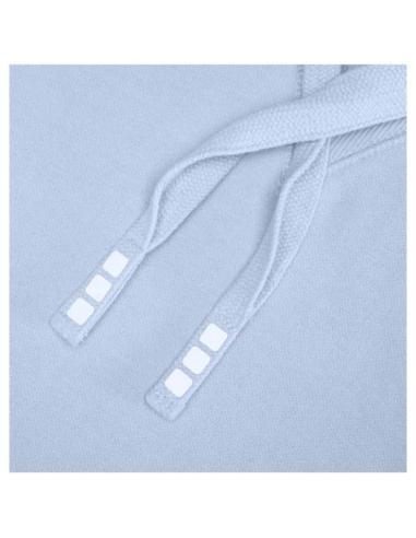 Sudadera con capucha unisex de 300 g/m² Arora N00553283