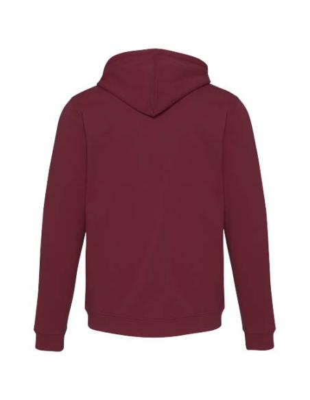 Sudadera con capucha unisex de 280 g/m² Jasper N02235593