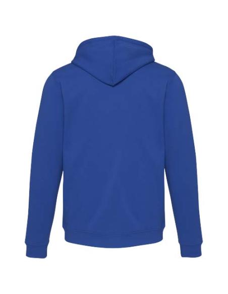 Sudadera con capucha unisex de 280 g/m² Jasper N02535593