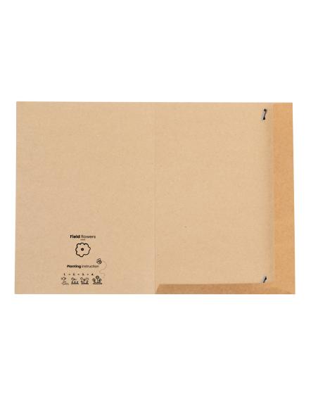 Carpeta Semillas N96902