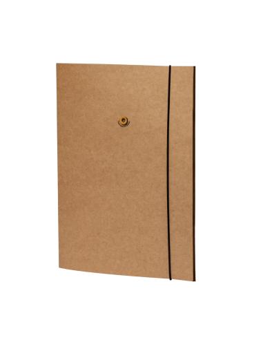 Carpeta Semillas N96902