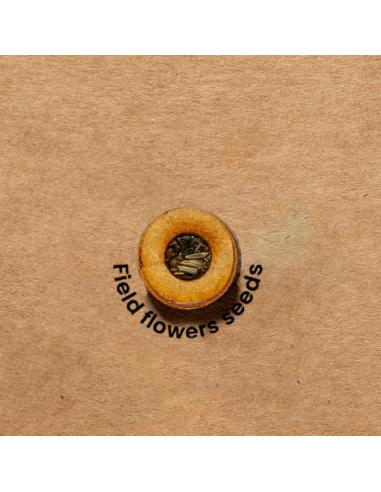 Carpeta Semillas N96902