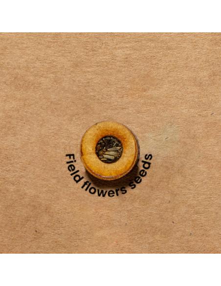 Carpeta Semillas N96902