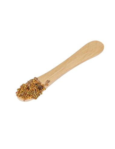 Stick Semillas N27902