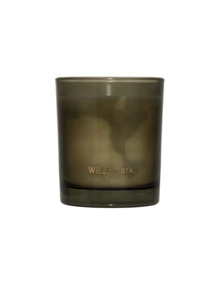 Vela perfumada Wellmark Tender Affection de 210 g N46044621